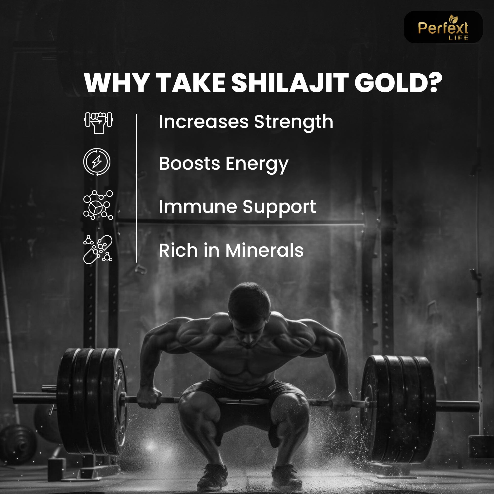 Perfext Life Shilajit Gold Capsules