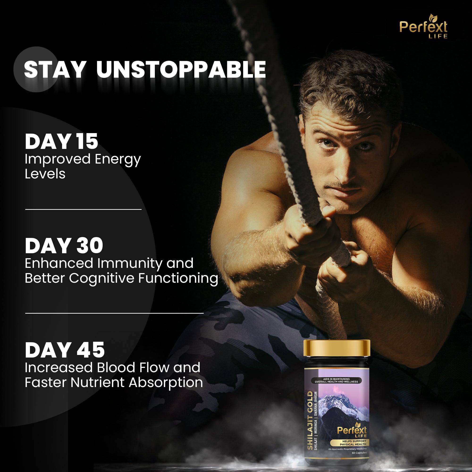 Perfext Life Shilajit Gold Capsules