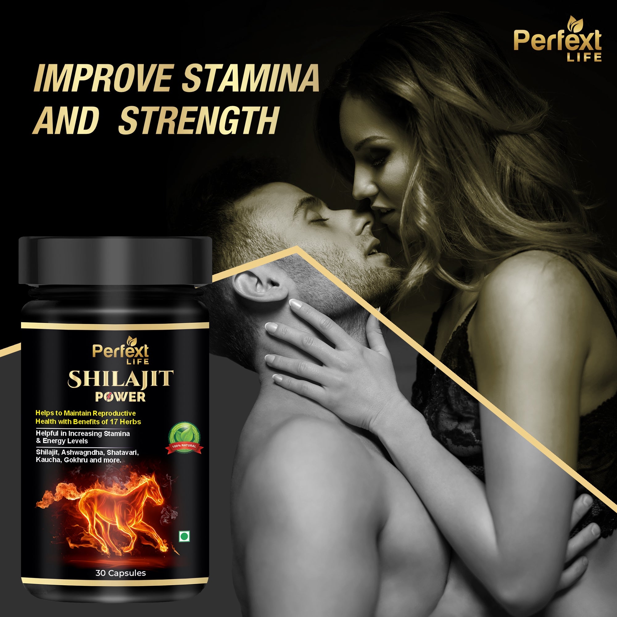 Perfext Life Shilajit Power Cap-sules for Energy