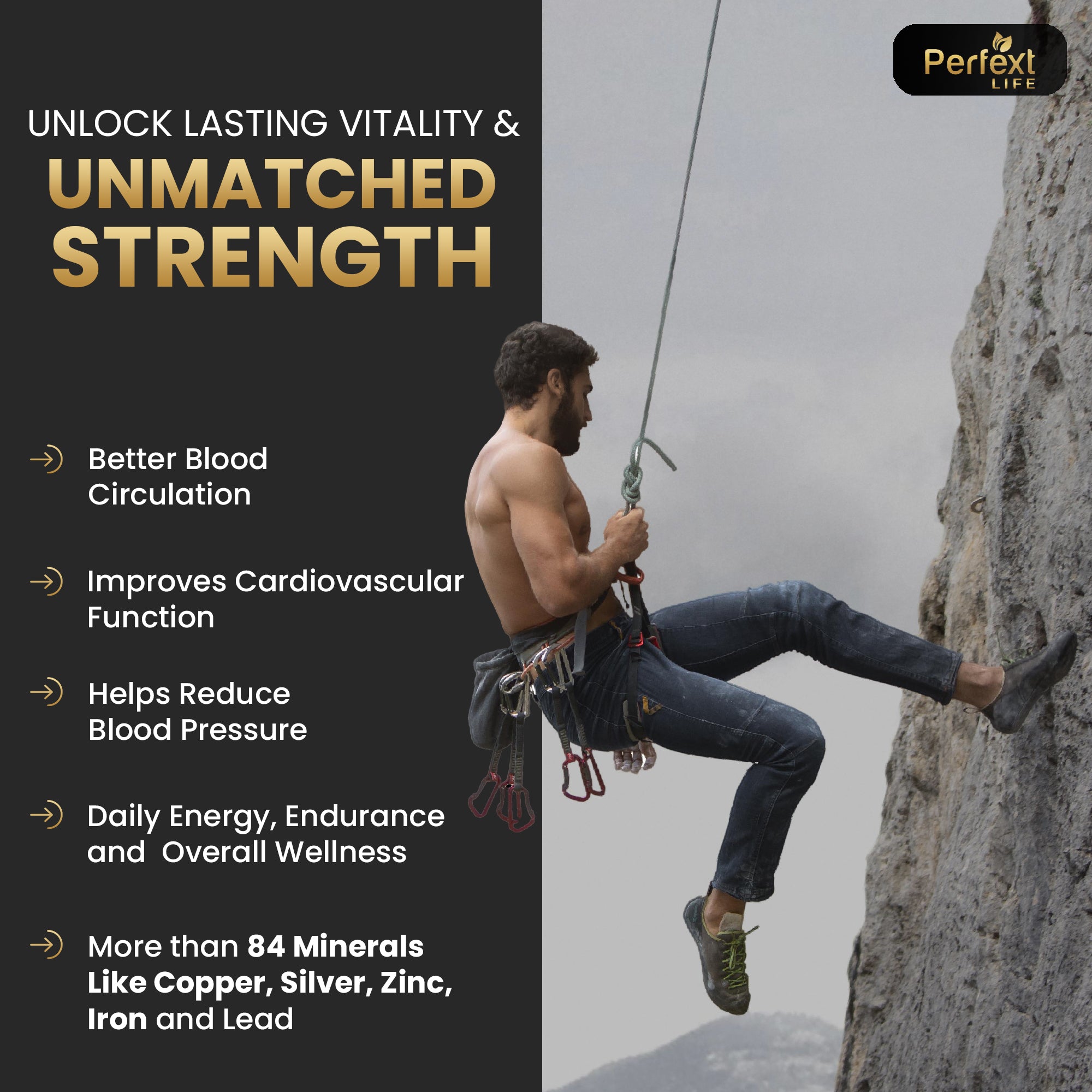 Perfext Life Shilajit Gold Capsules