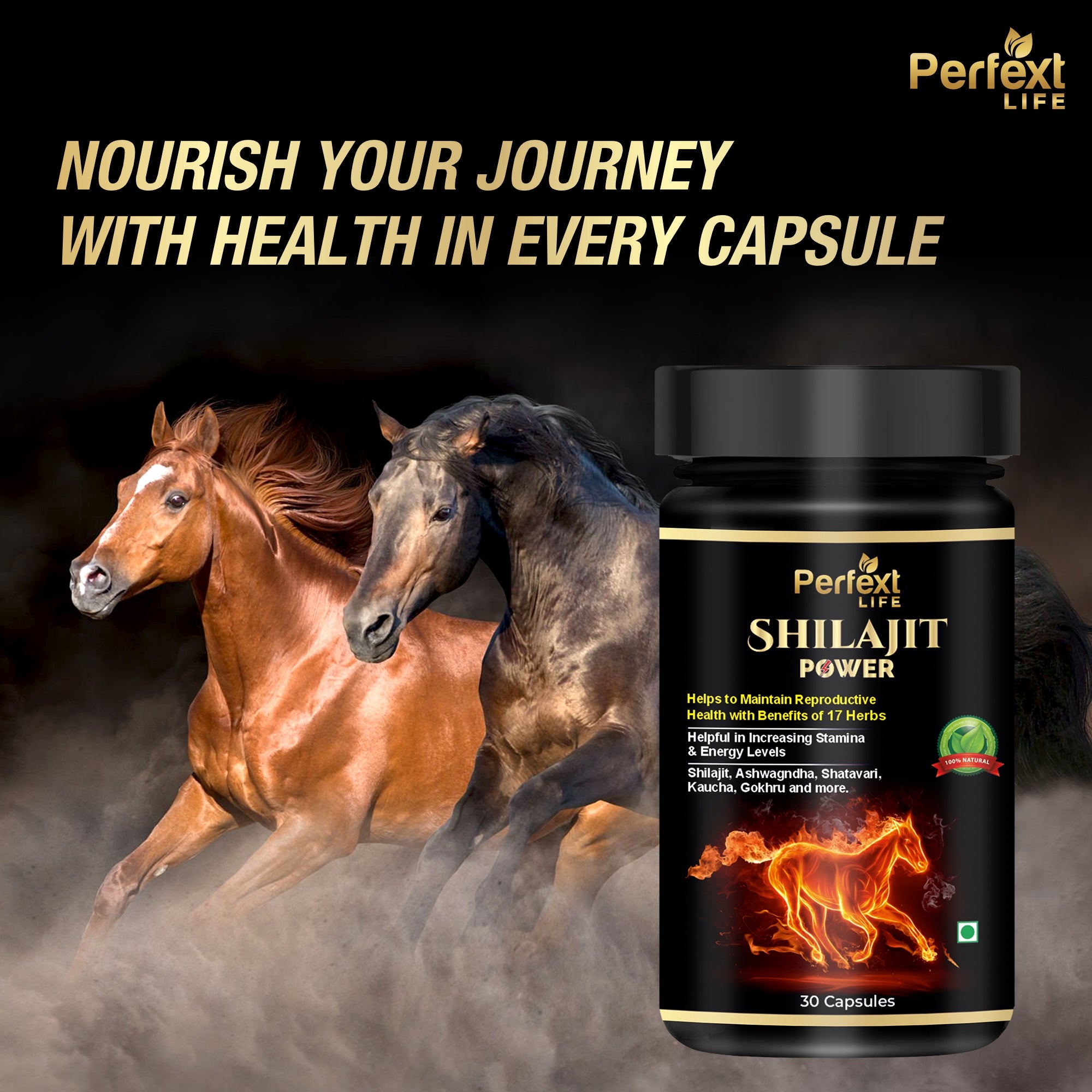 Perfext Life Shilajit Power Cap-sules for Energy