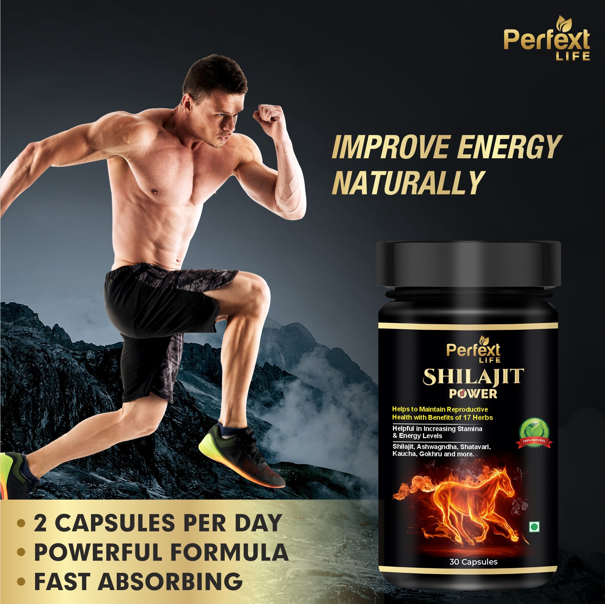 Perfext Life Shilajit Power Cap-sules for Energy