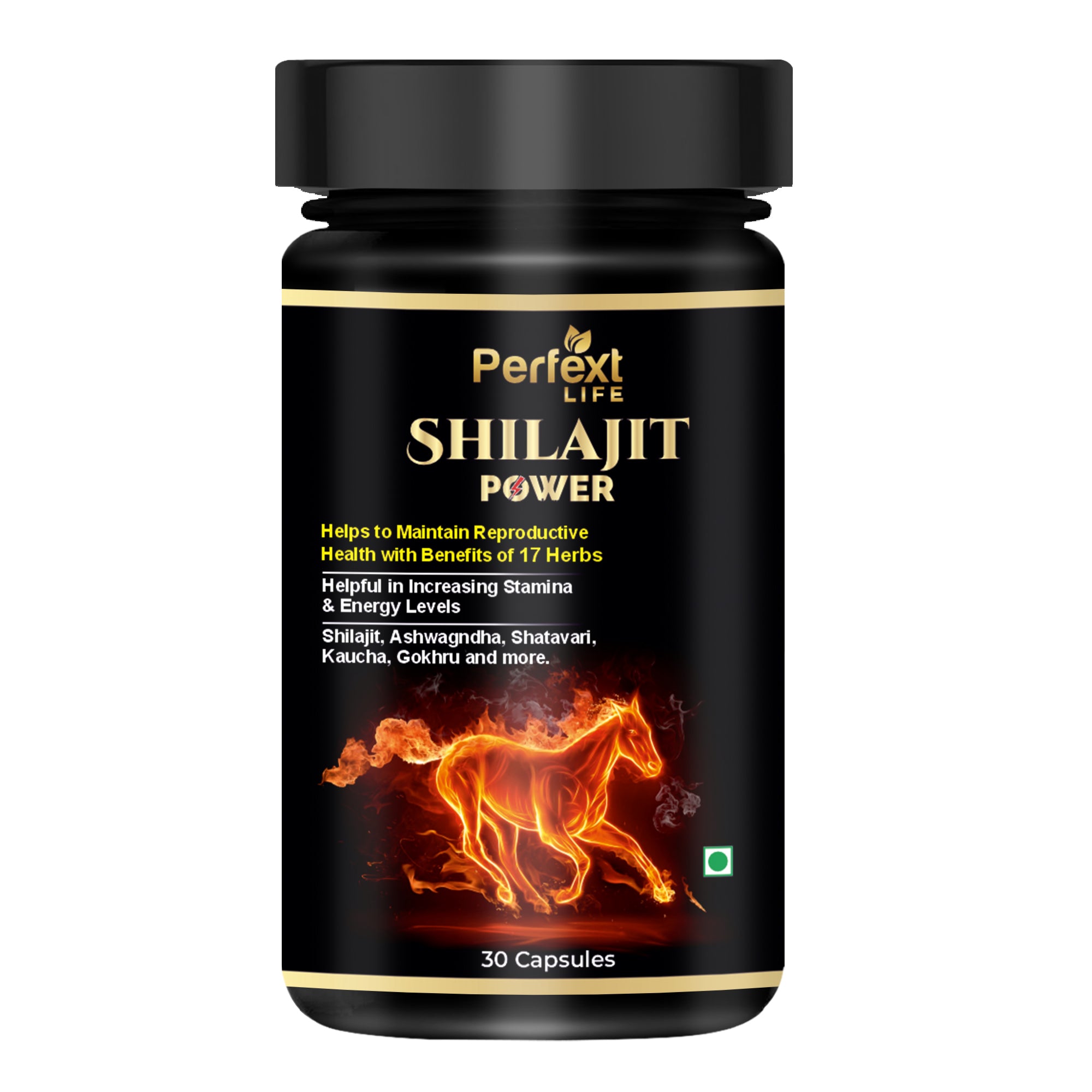 Perfext Life Shilajit Power Cap-sules for Energy